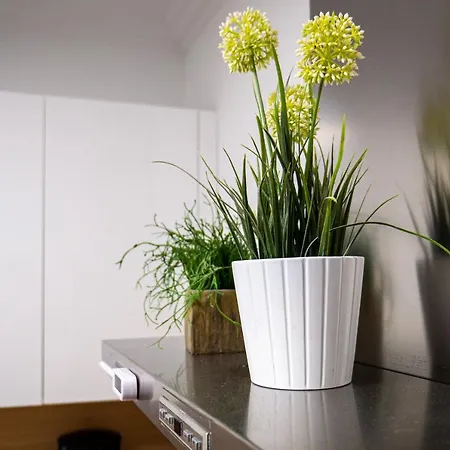 Palermo By Beauty サン・セバスティアン