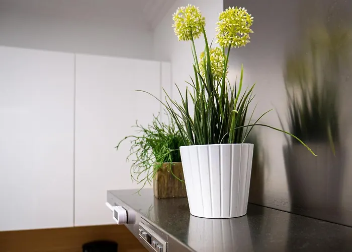 Palermo By Beauty San Sebastián